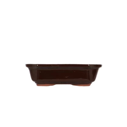 Bonsai Pot Small