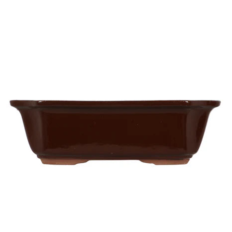Bonsai Pot Large